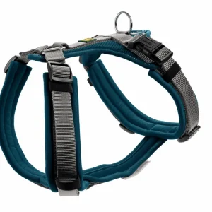 HUNTER Geschirr Maldon Up 37-53 / XS-S petrol/grau Nur Für Kurze Zeit